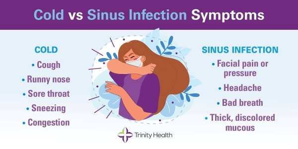 cold vs sinus infection symptoms infographic