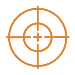 A bullseye icon