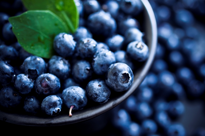 fresh blueberries