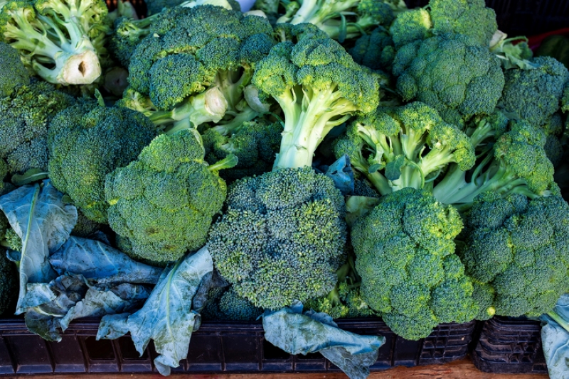fresh broccoli heads